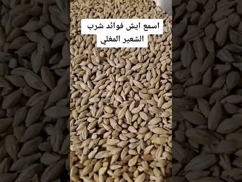 فوائد مغلي الشعير