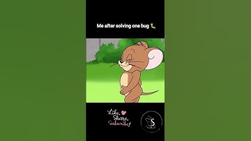 That moment when you finally resolved a bug🐛😌🦋🦋#coding #bugfixed #relatable #software #stressrelief