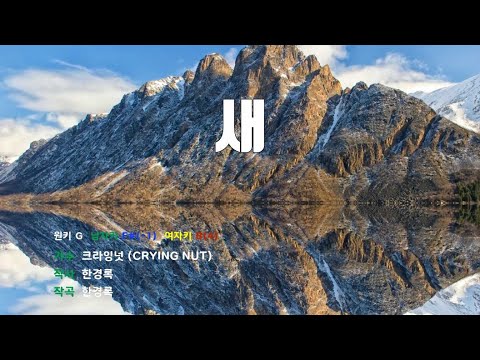 [은성 반주기] 새 - 크라잉넛(CRYING NUT)