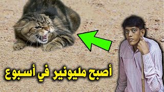 لن تصدق راعي غنم تحول الي مليونير بسبب شئ موجود فى بيوتنا معجزه كبيرة جدا !! سبحان الله