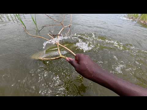 VILLAGE ASMR / POND WATER EFFECTS SLEEP SOUNDS,