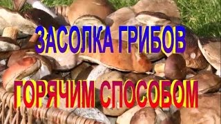 ЗАСОЛКА ГРИБОВ ГОРЯЧИМ СПОСОБОМ.Рецепт приготовления грибов на зиму. ЗАСОЛКА ГРИБОВ ГОРЯЧИМ СПОСОБОМ.Рецепт приготовления грибов на зиму.