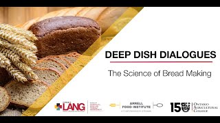 Deep Dish Dialogues explores the science of making bread