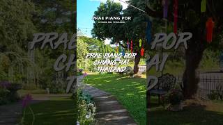 🍽️Authentic Thai Food Experience at Prae Piang Por Restaurant, Chiang Rai | Thailand #shorts