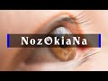 NozOkiaNa