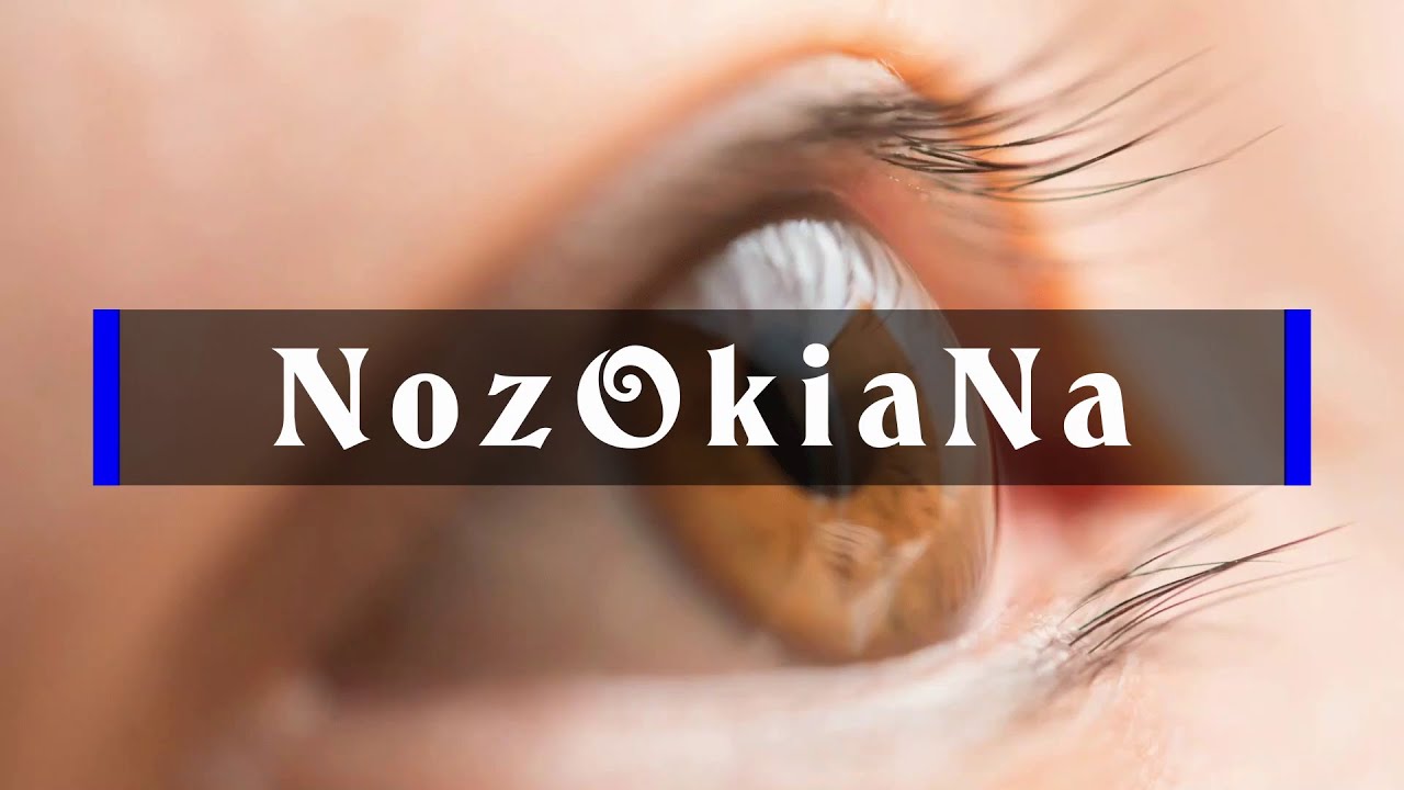 NozOkiaNa - YouTube