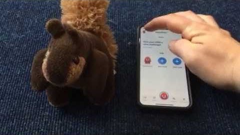 Portfolio Guide Class Dojo - Lea Forest Primary Academy -March 2020