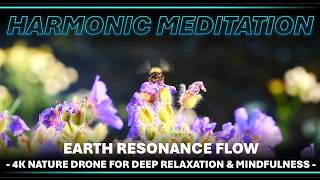 🧠 Harmonic Meditation 🎧 Earth Resonance Flow - 4K Nature Drone for Deep Relaxation & Mindfulness