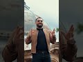 Артем Пика - Колючая | Музыка Юга