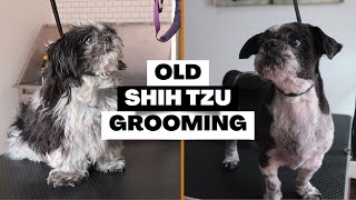 OLDER SHIH TZU GETS HAIR SHAVED | RURAL DOG GROOMING by Rural Dog Grooming 644 views 10 months ago 30 minutes