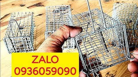 Bán lồng bẫy chuột đường mòn. Bán lồng bẫy chuột đàn. Bán lò xo bẫy chuột. Bán bẫy chuột đồng.