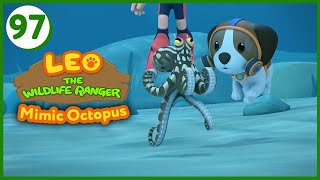 The Mimic Octopus  Leo The Wildlife Ranger (Episode 97)