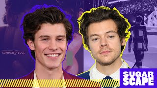 Harry Styles to win THIS award, INSIDE Shawn Mendes&#39; bday party + NEW music from Niall?!