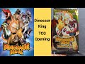 What Is The Dinosaur King TCG Information And Booster Pack Opening 