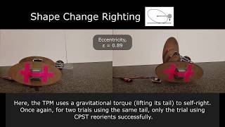 A Study on Coronal Plane Spine Twisting in Animated Objects