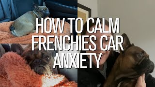 How To Calm Your French Bulldog's Car Anxiety by The French Bullvlog 3,105 views 2 years ago 8 minutes, 37 seconds
