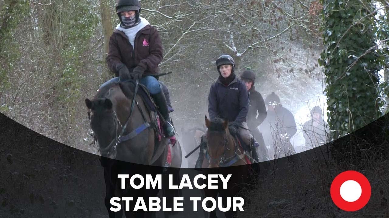 tom lacey stable tour