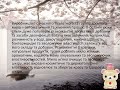 Історія розвитку виробництва мила
