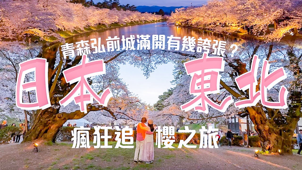 【東北追櫻終章】弘前城櫻花雪海太震撼！角館武家屋敷櫻道漫步、松島日落美如畫