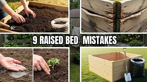 9 Beginner Raised Bed Garden Mistakes to Avoid