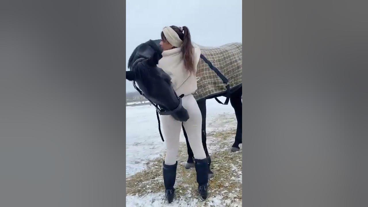 The Horse Was Licking Her Butt #shorts #horse #Bad Romance horse # ...