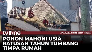 Rumah Warga Tertimpa Pohon Berusia 100 Tahun | AKIM tvOne