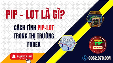 Pip - Lot và Các thuật ngữ cơ bản trong Forex cho người mới