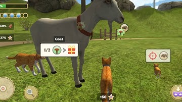 Cat Simulator 2020 #9