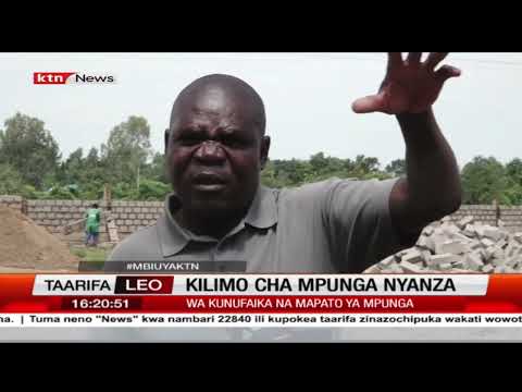 Wakulima Wa Mpunga Siaya Wapata Matumaini Ya Kupata Mapato Bora 