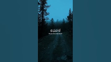 اكتب شيء تؤجر عليه 😊🤍 القارئ ياسر الدوسري سورة البقرة