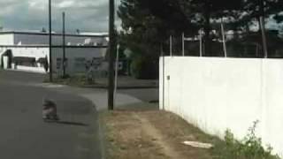 Devin Appelos RTR part