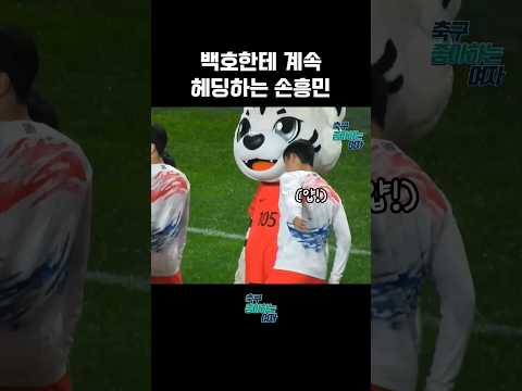 <strong>백호</strong> 담당 일진 손흥민