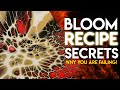 #26 Bloom Recipe Secrets | Shelee Art Technique | Acrylic Pouring