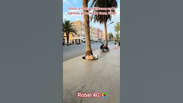 Eritrean Beauty #eritreanguayla #biniamgirmay #eritreanculture #Eritrea #habesha #eritreantiktok