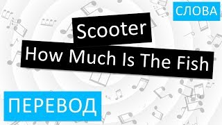 Scooter How Much Is The Fish Перевод песни На русском Слова Текст Scooter How Much Is The Fish Перевод песни На русском Слова Текст