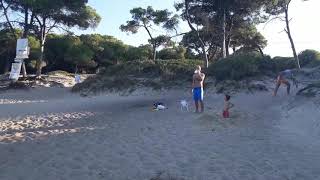 Кой Е Върколак?