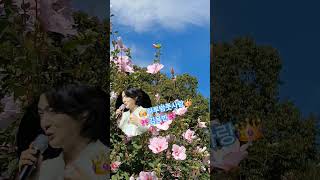 김용빈 #🩵하루밤풋나랑🩵,#트로트황제 #신곡# #꽃미남#미스터.트롯진 #소원당#010 2585 2611