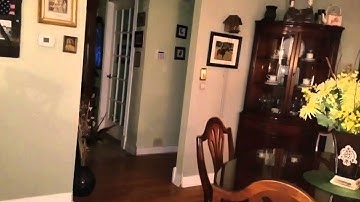 Ghost, spirit trying to manifest then going to orb.