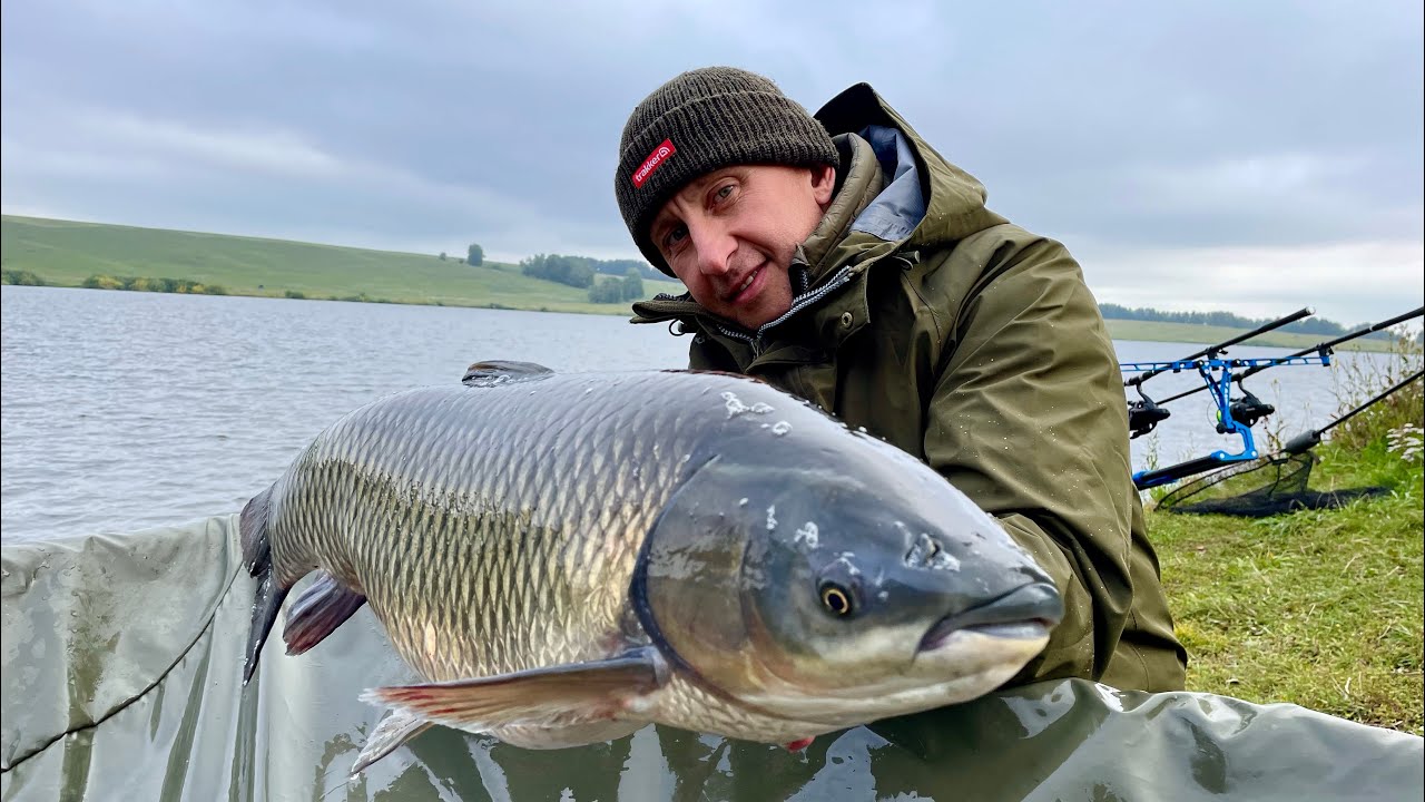 Карпфишинг на исходе лета «Береговой» 2022