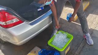 Road trip Gaborone Botswana 🇧🇼 to Johannesburg South Africa 🇿🇦 part 4 screenshot 4