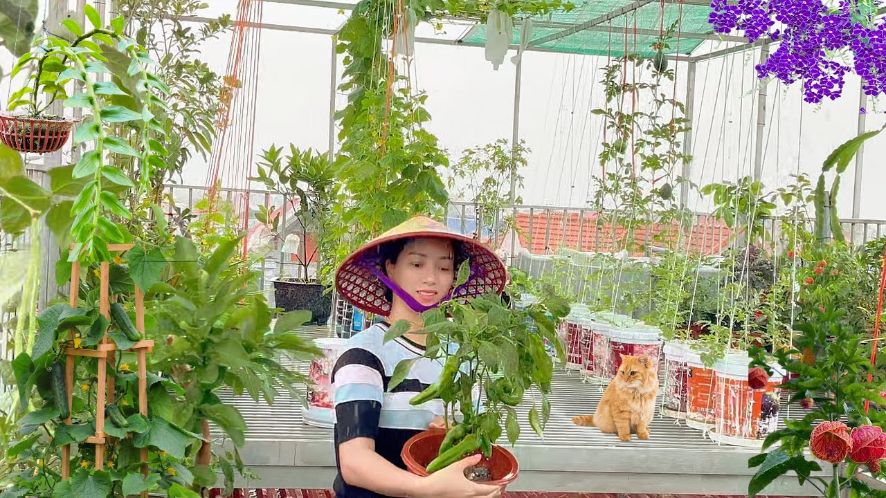 Discover the Real Secret to Successful Gardening | Harvesting at the Organic Home Garden