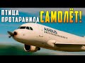 Птица протаранила самолет, Боинг бастует. Новости 05 08 2025
