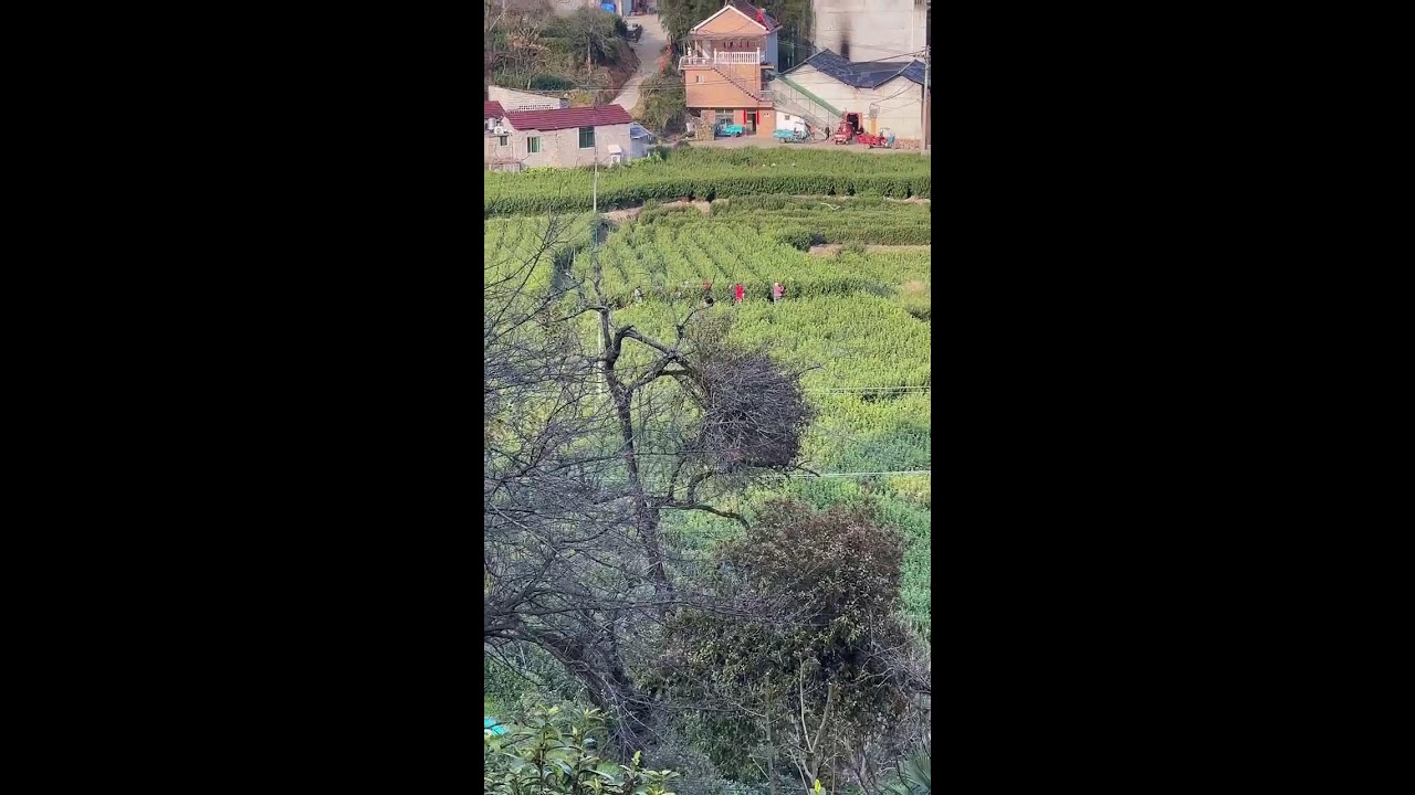 陌生的村莊，陌生的面孔：今天能交換到一份人情味嗎？ 2026-03-07 16:30:27