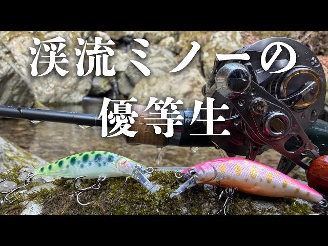 Must-Read Guide] Minnows and Setups for Fishing in Mountain