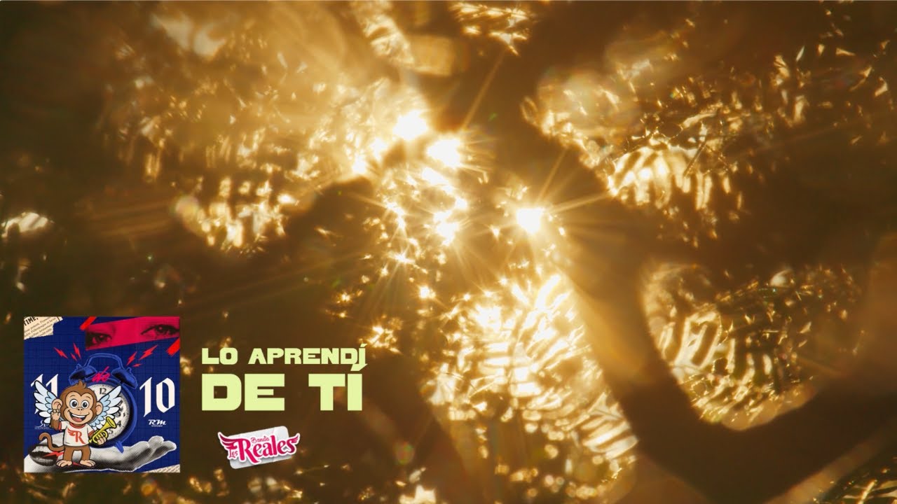 Banda Los Reales - Lo Aprendí De Ti (Video Lyrics)