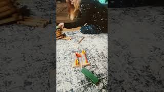 just a average school day