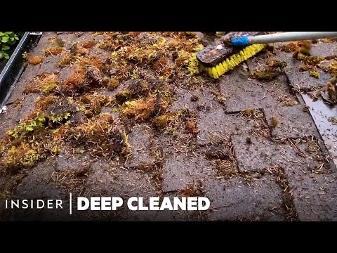 Removing Moss From Crevices Of A Roof | Deep Cleaned | Insider