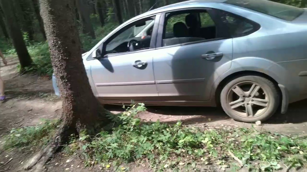 Ооо волга лес