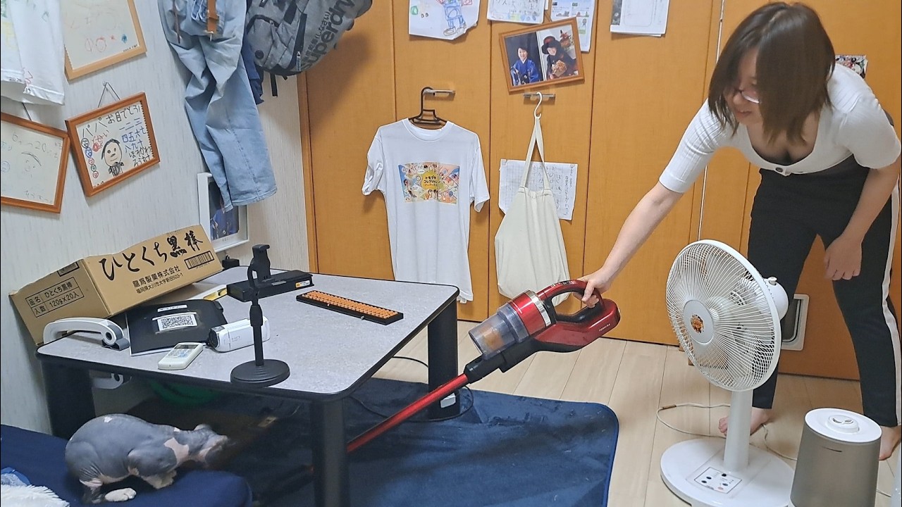 掃除機にビビるどころか迎え撃つ勇猛果敢な無毛少女猫