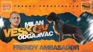 Nemacki ostrodlaki pticar 'Fantastic of Miki kennel' l Intervju 'Frendy Ambasador'